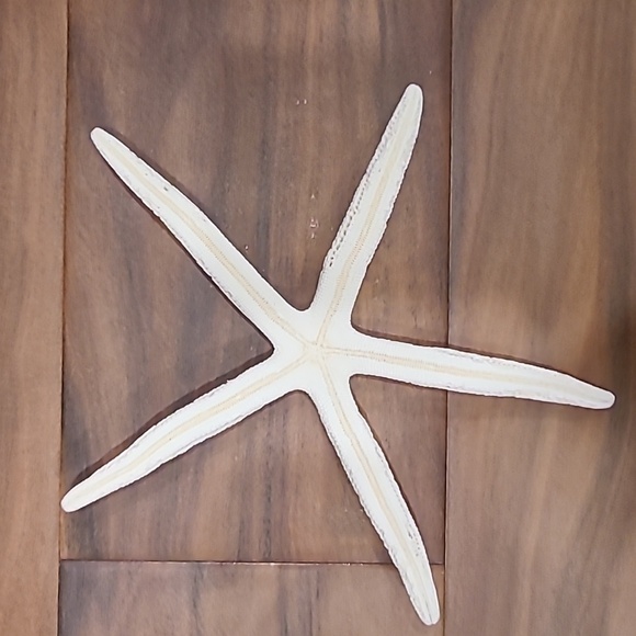 Star fish - Picture 2 of 3